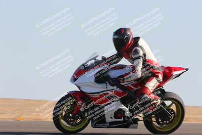 media/Nov-11-2023-SoCal Trackdays (Sat) [[efd63766ff]]/Turn 9 (1pm)/